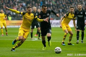 好博体育-多特蒙德内部会议纪要流出——赛前伤情更新，法国杯使命明确，年轻球员得到机会